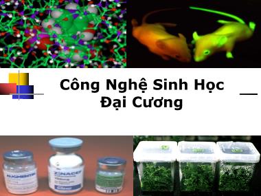 Giáo trình Công nghệ sinh học Đại cương - Nguyễn Thị Phương Thảo