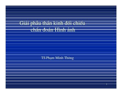 Giáo trình Giải phẫu thần kinh đối chiếu chẩn đoán Hình ảnh - Phạm Minh Thông