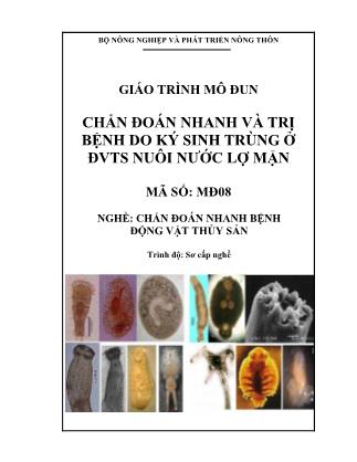 Giáo trình Mô đun Chẩn đoán nhanh và trị bệnh do ký sinh trùng ở ĐVTS nuôi nước lợ mặn