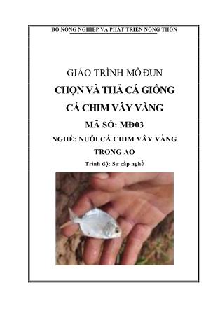 Giáo trình Mô đun chọn và thả cá giống cá chim vây vàng trong ao