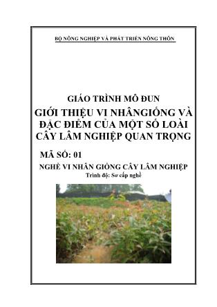 Giáo trình Mô đun giới thiệu vi nhân giống và đặc điểm của một số loài cây lâm nghiệp quan trọng