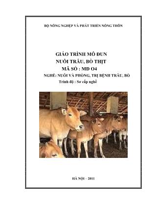 Giáo trình Mô đun nuôi trâu, bò thịt