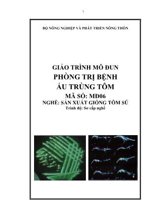 Giáo trình Mô đun phòng trị bệnh ấu trùng tôm