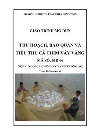 Giáo trình Mô đun thu hoạch-bảo quản và tiêu thụ cá chim vây vàng