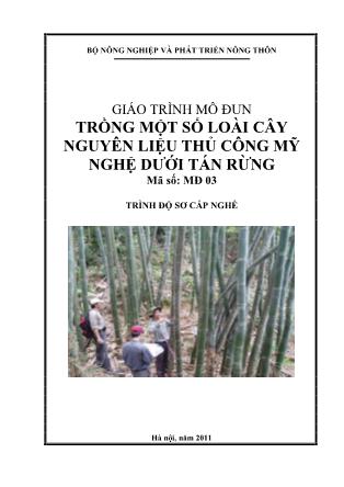 Giáo trình Mô đun trồng một số loài cây nguyên liệu thủ công mỹ nghệ dưới tán rừng