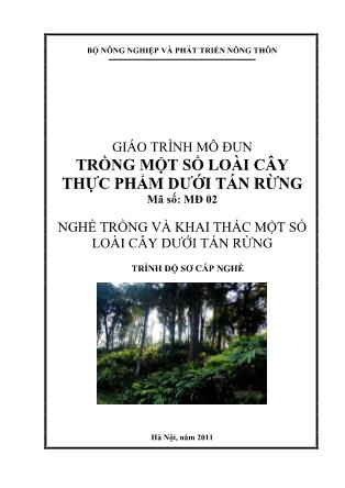 Giáo trình Mô đun trồng một số loài cây thực phẩm dưới tán rừng