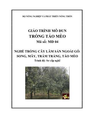 Giáo trình Mô đun trồng táo mèo