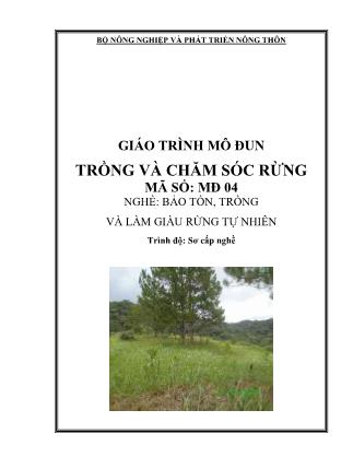 Giáo trình Mô đun trồng và chăm sóc rừng (Bản đẹp)