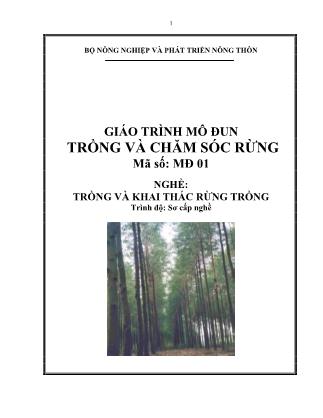 Giáo trình Mô đun trồng và chăm sóc rừng