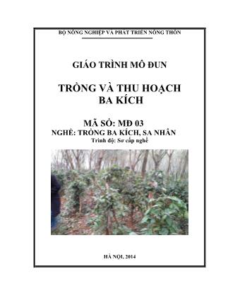 Giáo trình Mô đun trồng và thu hoạch ba kích