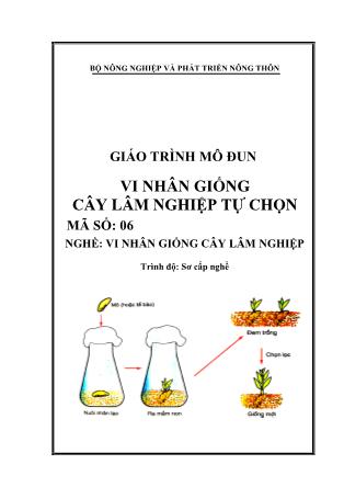 Giáo trình Mô đun vi nhân giống cây lâm nghiệp tự chọn