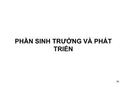 Giáo trình Phần sinh trưởng và phát triển