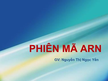 Giáo trình Phiên mã ARM - Nguyễn Thị Ngọc Yến