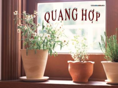 Giáo trình Quang hợp