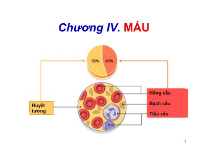 Giáo trình Sinh học động vật - Chương 4: Máu