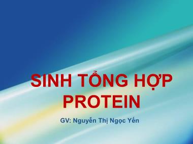 Giáo trình Sinh tổng hợp Protein - Nguyễn Thị Ngọc Yến