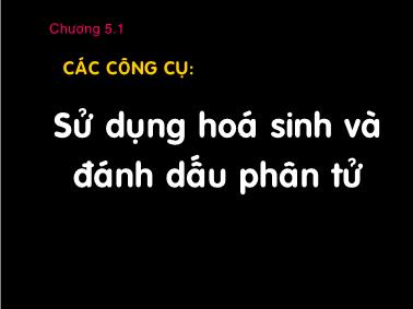 Giáo trình Sử dụng hóa sinh và đánh dấu phân tử