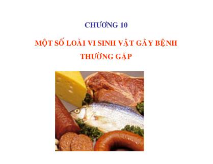 Giáo trình Vi sinh vật và thực phẩm - Chương 10: Một số loài vi sinh vật gây bệnh thường gặp