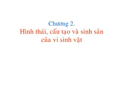 Giáo trình Vi sinh vật và thực phẩm - Chương 2: Hình thái, cấu tạo và sinh sản của vi sinh vật