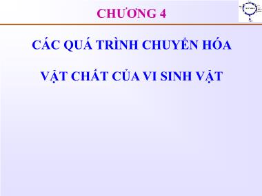 Giáo trình Vi sinh vật và thực phẩm - Chương 4: Các quá trình chuyển hóa vật chất của vi sinh vật