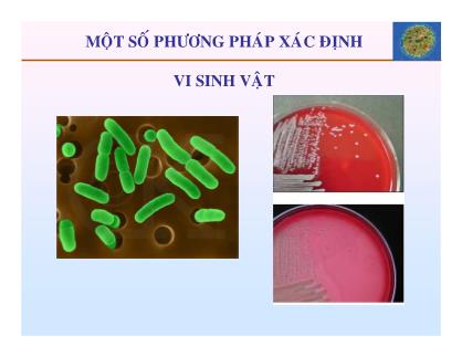 Giáo trình Vi sinh vật và thực phẩm - Chương 6: Một số phương pháp xác định vi sinh vật