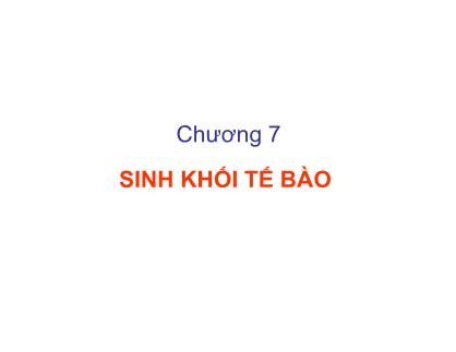 Giáo trình Vi sinh vật và thực phẩm - Chương 7: Sinh khối tế bào