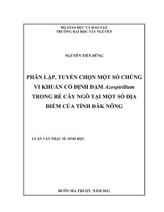 Luận văn Phân lập, tuyển chọn một số chủng vi khuẩn cố định đạm Azospirillum trong rễ cây ngô tại một số địa điểm của tỉnh Đăk Nông - Nguyễn Tiến Dũng