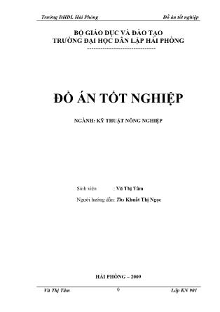 Khóa luận Nghiên cứu ảnh hưởng của phân bón đến sự sinh trưởng, phát triển của cây hoa cúc vụ xuân hè