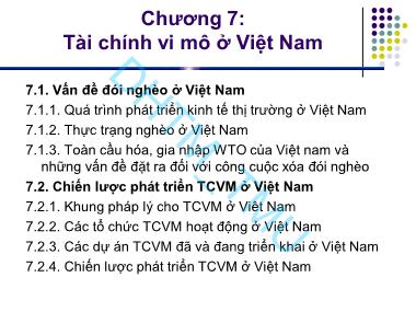 Bài giảng Tài chính vĩ mô - Chương 7: Tài chính vi mô ở Việt Nam